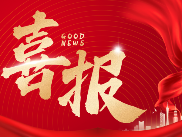 第33！第9！五星！兆弟控股榮膺2025中國建材行業(yè)3項權(quán)威殊榮